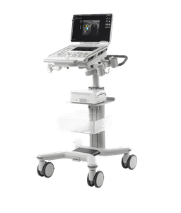 Фото: Esaote MyLab Omega